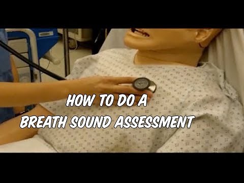 Breath Sound Assessment | Medical Review
