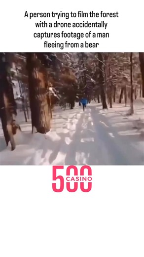 @zonofun on Instagram: "This instagram post shares a 19-second 2022 drone video depicting a man in a blue jacket sprinting along a snowy forest path, pursued by a black bear, framed as an accidental wildlife capture but actually featuring a trained pet bear named Tom for safe filming. - The clip, originally created by Russian FPV drone pilot Dima Smirnov, went viral on TikTok and Reddit in January 2022; Snopes verified its authenticity using source files and creator statements, debunking early C