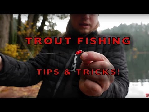 How To Fish Salmon Eggs For Trout Fishing (SUPER EFFECTIVE!!)