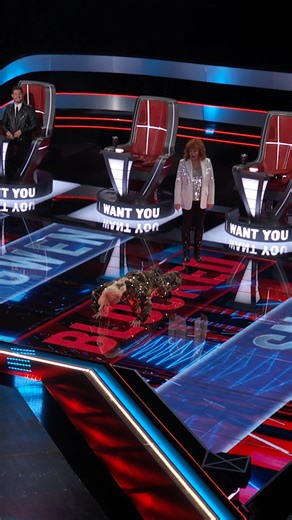 17M views · 438K reactions | A Gwen and Reba pushup contest is ABSOLUTELY one of the highlights of our week.  The Voice is streaming now on Peacock. | The Voice | Facebook