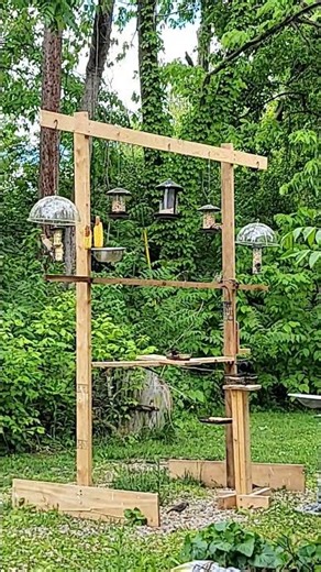 Relaxing in nature #birds #nature #birdsong #wildlife #viral
