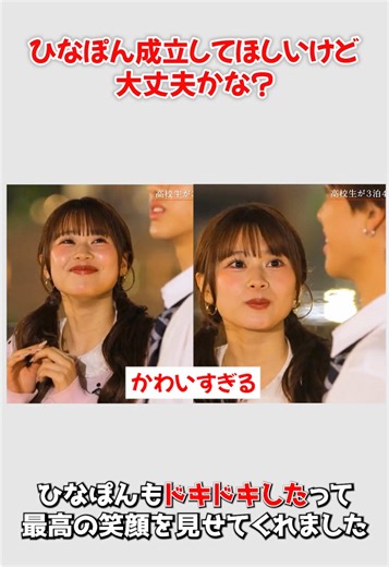 ひなぽんの最後の旅とMBTI診断の魅力