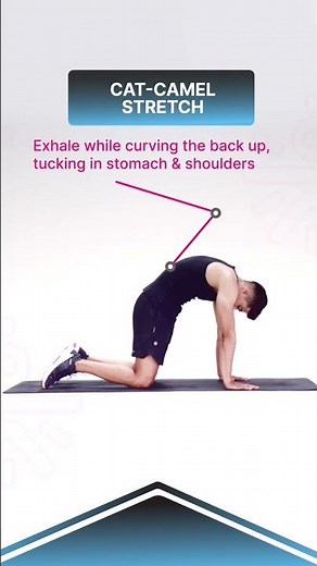 Breaking Down: Cat Camel Stretch ‪@cult.official‬ #Shorts