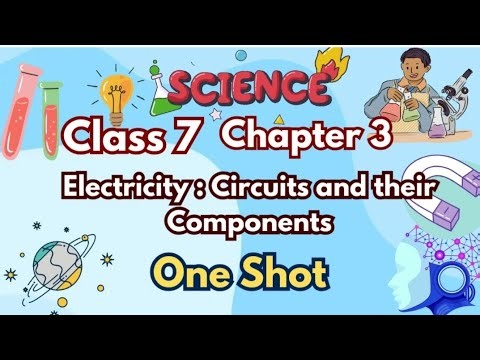 Electricity Circuits & Components Class 7 Curiosity | Full Chapter in 20 Minutes | Important notes