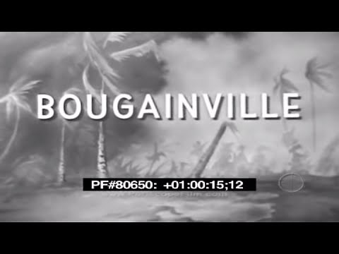 Bougainville - 1943-1945 WWII 80650