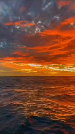 Stunning Sunset Scenes and Simpsons Tweet Insights