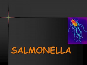 SALMONELLA - SlideServe