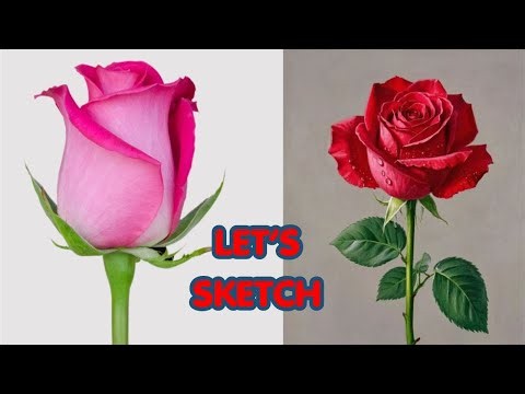 🌹 Rose Drawing Live | Step-by-Step Realistic Rose Tutorial for Beginners