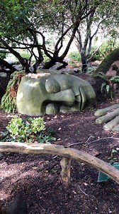 Beacon Hill Park and Petting Zoo Goat Run starts at 10:00am everyday Farm hours: 10-4 Stroll the gardens, play at the playground, find the moss lady, enjoy the goat running @beaconhillchildrensfarm and grab some icecream @beacondrivein #yyj #victoriabc #victoriabcnow #victoriahype #connectwithvictoria #explorevictoria #discovervictoriabc #explorebc #victoriabuzz #experiencevancouverisland #explorelangford #yyjmom #yyjkids #yyjdad #yyjguide #yyjparks #yyjoutdoors #yyjmoms #yyjdads #yyjevents #yyj