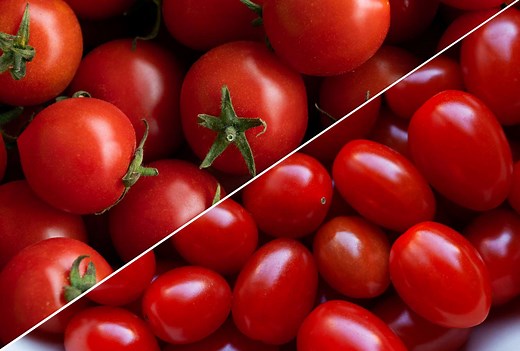 Is There Actually a Difference Between Cherry and Grape Tomatoes?