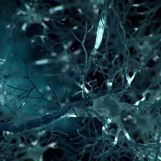 🚀 Take an extraordinary journey inside the human brain in #IMAX 3D! Get your tickets today for Superhuman Body: World of Medical Marvels, narrated by Matthew McConaughey! 🎟️twose.ca/superhuman #yeg #edmonton #yegfilm #health | TELUS World of Science - Edmonton