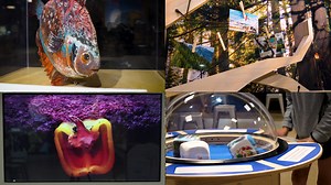 266K views · 195 reactions | Head to the Science Centre this summer!...