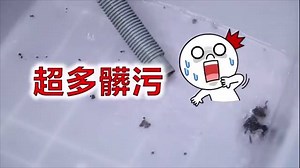 14K views · 244 reactions | 唉噁~原來你家的洗衣機這麼髒?! #洗衣機比馬桶髒530倍啊...