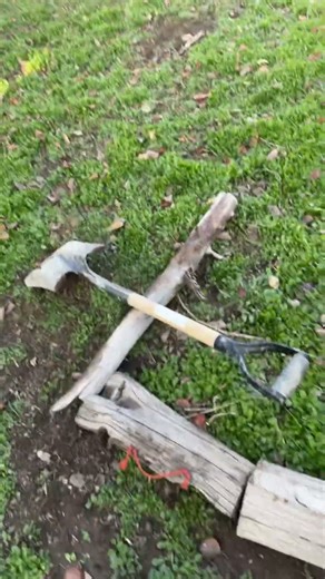 Day 2 of building the wood fort