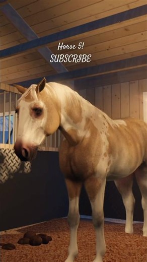 Horse inspo• *requested #equest #roblox