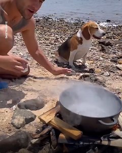 This guy shares some wild survival tips, methods and recipes! 😮👏 | GOODLAD
