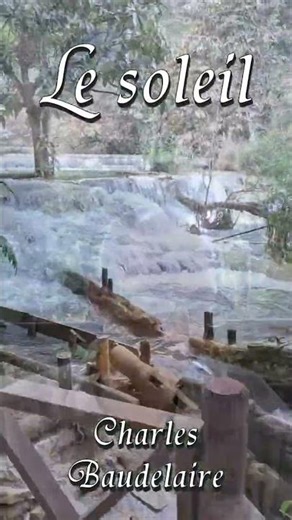 Le soleil - Charles Baudelaire