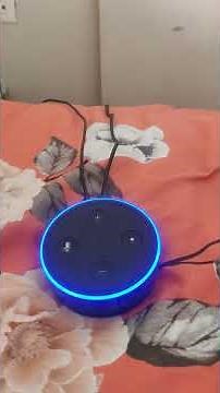 How to factory reset your Amazon Echo Dot