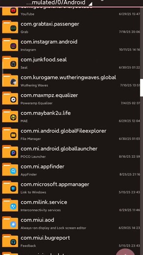 Wuthering Waves - how to apply the config files