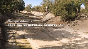 5.7K views · 212 reactions | The Murray-Darling river is dying, despite a multi-billion dollar government plan to restore it. Those responsible for this disaster need to be held accountable in court. Sign the petition to demand an independent Federal Royal Commission into the mismanagement of the Murray-Darling Basin Plan and water theft by corporate irrigators  https://www.aph.gov.au/petition_list?id=EN1124 | Greenpeace Australia Pacific | Facebook