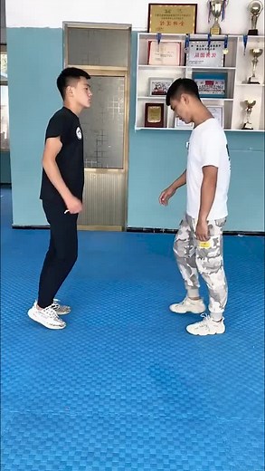 Martial Arts Practice: Key Techniques and Movements