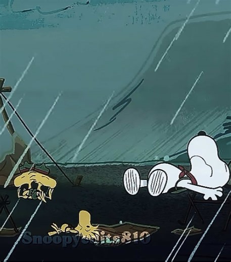 #snoopyedits #snoopy #woodstock #edits #fypシ