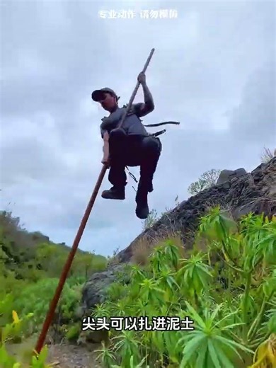 How the Indigenous People of the Canary Islands Use a Unique Technique to Commute Quickly Across ...