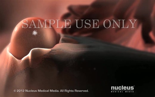 【3D医学动画】月经形成及排卵的过程（中英双字幕+原版英文）