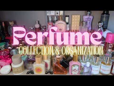 HUGE PERFUME COLLECTION AND ORGANIZATION!