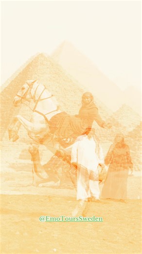 11 reactions | ✨ Pyramids + Camel Ride + Horse Jump = A Perfect...