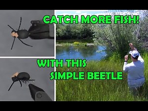 Easiest beetle fly pattern Ever! The SBE
