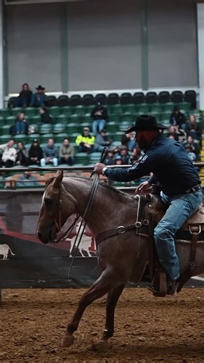 Clayton Hass on Instagram: "Cool video of me and @slickrobison_ropehorses ‘s QT at @cinchrsnc ‘s celebrity sorting in Cowtown Coliseum. Pretty fun event and love trying out different arena events these quarter horses can do. Thanks @ropingcom for the footage and thanks @cinchjeans for partnering with associations like this to keep growing our industry."