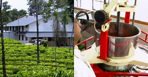 ഈ ചായപ്പൊടിക്ക് പിന്നിലെ രഹസ്യം; ഇത് കേരളത്തിലെ ആദ്യ മിനി ടീ ഫാക്ടറി