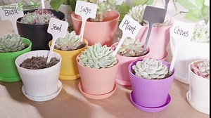 KINGLAKE GARDEN Large Plastic Plant Labels 6 Inch 50 Pack White Sturdy Extra Large T-Style Plastic Plant Labels for Flower beds,Plant pots