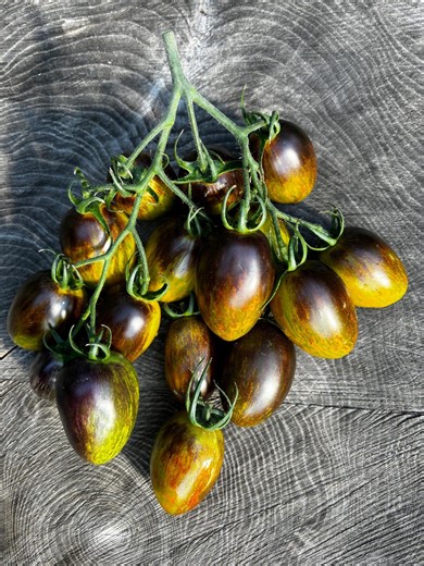 BRAD'S ATOMIC GRAPE - Rare Heirloom Tomatoes - Etsy UK