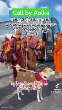 #all #peace #aloka #funny