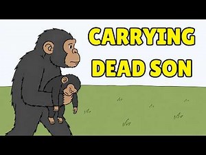Do Animals Understand Death?