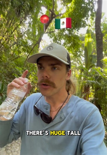 Parque Nacional Barranca Del Cupatitzio in Uruapan 🌺🇲🇽 I’ve been receiving recommendations nonstop to come visit this place, and it didn’t disappoint! What a beautiful spot… #uruapan #michoacan #mexicotravel #backpacking #travel