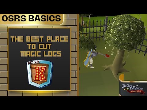 OSRS BASICS : The Best Place To Cut Magic Logs