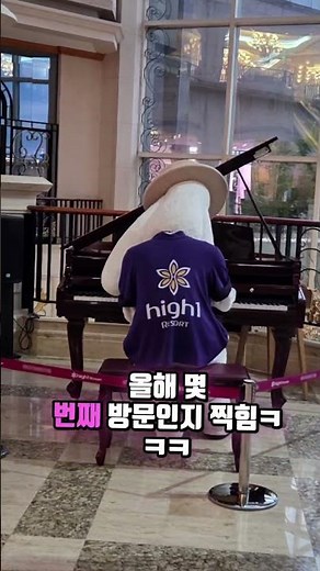 강원도 정선 강원랜드 카지노 방문 후기