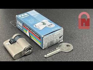 Assa Abloy FAB Euro Lock Pick and Gut