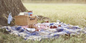 11 picnic blankets for a stylish outdoor feast