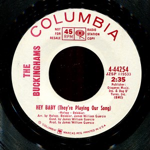 The Buckinghams - Hey Baby (They're Playing Our Song)