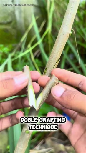 #homegrown #homegrownways