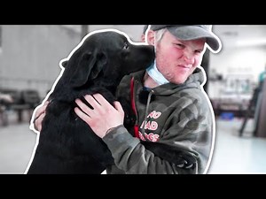 TEACHING THIS OUT OF CONTROL DOG SOME MANNERS!