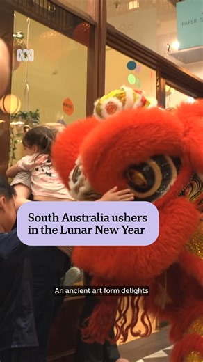 Happy Lunar New Year! 🎊 Celebrations have officially kicked off in Adelaide, starting yesterday at the Adelaide Arcade. It marks the end of the Year of the Snake and the beginning of the Year of the Horse, as part of the Chinese zodiac's 12-year cycle. More celebrations will be held across the city over the next few days. 🎤 Olivia Mason via ABC News SA Choose your news on the ABC NEWS app and stay in the know via the link in our bio. #ABCNewsSA | ABC Adelaide
