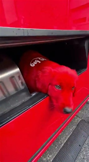What would you do if a vending machine gave you this? 💀👀 #funny #viral #funnyvideo #fyp