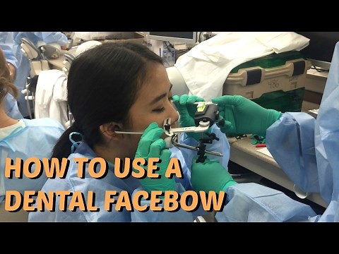 How To Use A Dental Facebow || Brittany Goes to Dental School