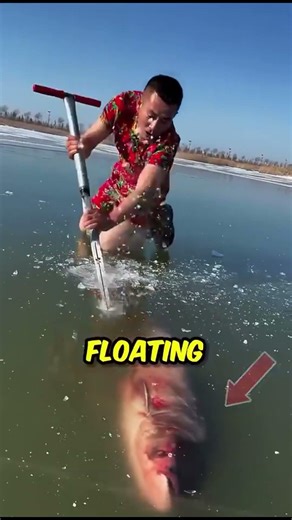 People Risk Their Lives to Pull Frozen Fish from Ice 😱🐟