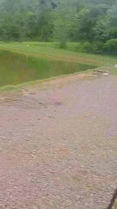 A new level of fishing is here at xtreme | Paradise Xtreme